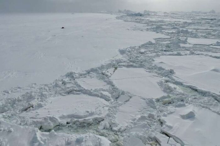 رویداد غیرمنتظره در اقیانوس منجمد جنوبی: کاهش یخها و افزایش شوری آبهای سطحی