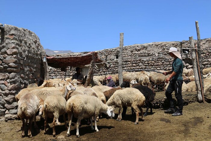 اقتصاد روستایی عشایری، ظرفیت‌های بکر استان اردبیل در مسیر توسعه
