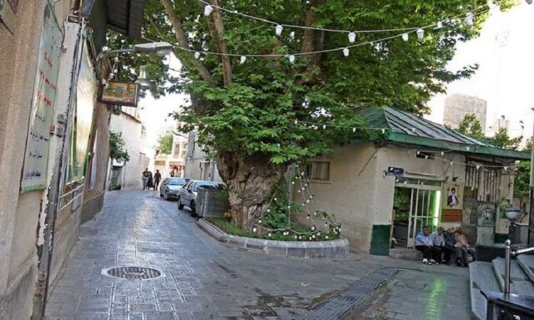 اجرای شبکه «مدیریت محله محور» مورد توجه ویژه قرار بگیرد