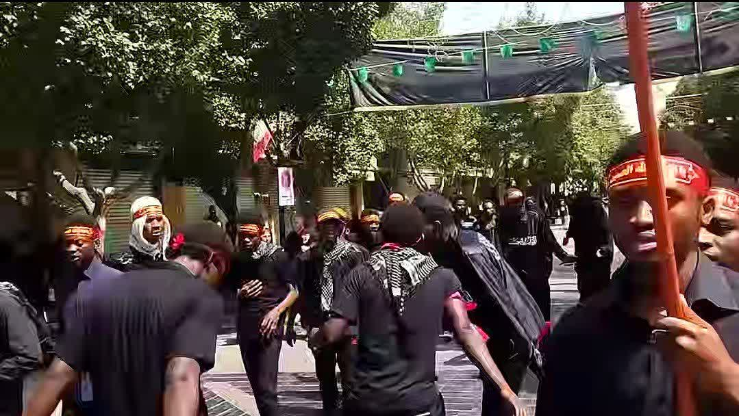 عزاداری باشکوه نیجریهایها در ری / عشق به امام حسین مرز ندارد + فیلم