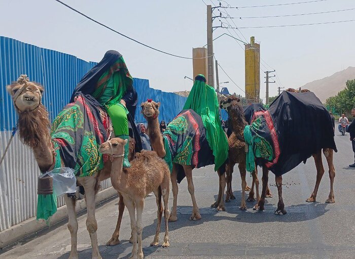 نوای عاشورا در کربلای ایران ، حرم عبدالعظیم حسنی(ع) میزبان عزاداران + فیلم