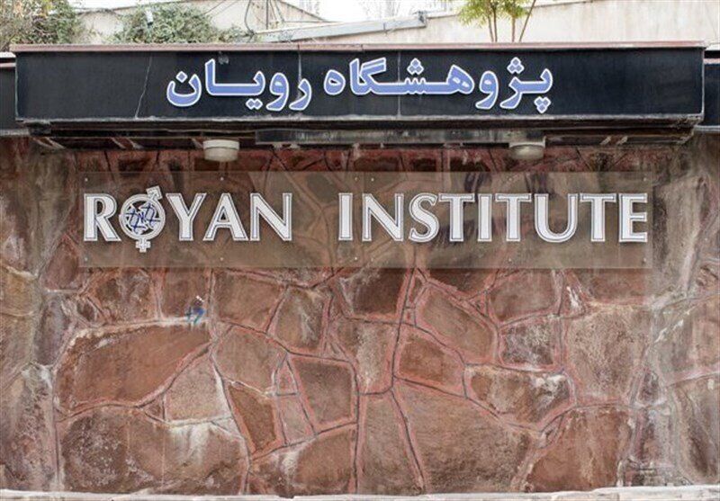 برپایی مدرسه تابستانی رویان با محوریت هوشهای مصنوعی و زیستی