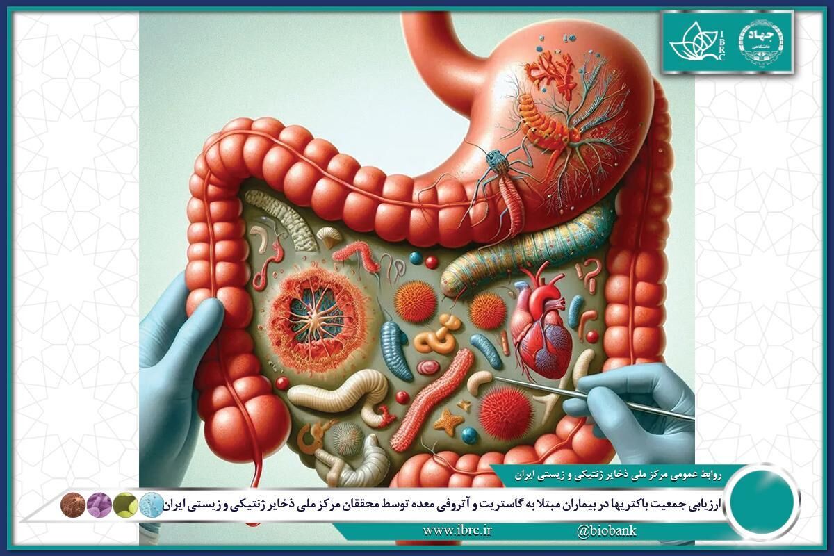 ارزیابی جمعیت باکتریها در بیماران مبتلا به گاستریت و آتروفی معده