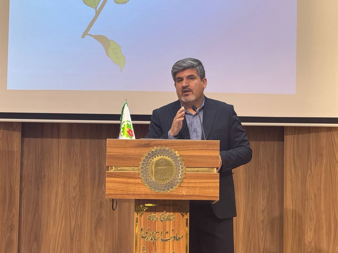 ایرنا