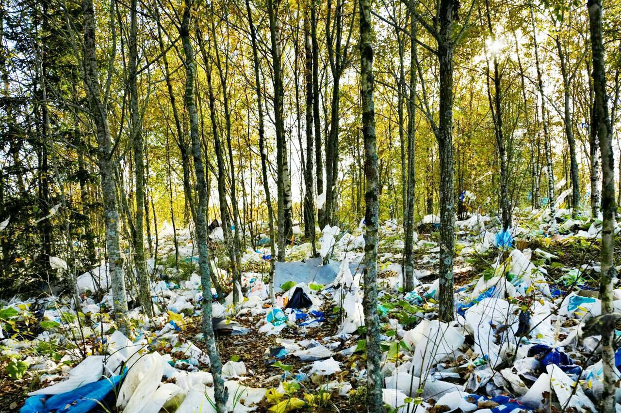 بحران پلاستیک، وقتی خطر عادی میشود