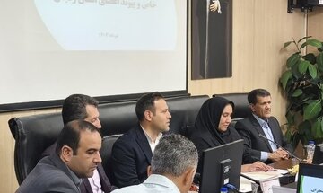 دبیر فدراسیون: زنجان الگویی موفق در توسعه ورزش بیماران خاص است