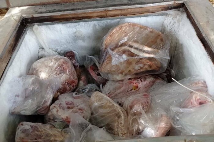 کشف لاشه گراز و الاغ وحشی با همکاری محیط زیست کرمان و هرمزگان