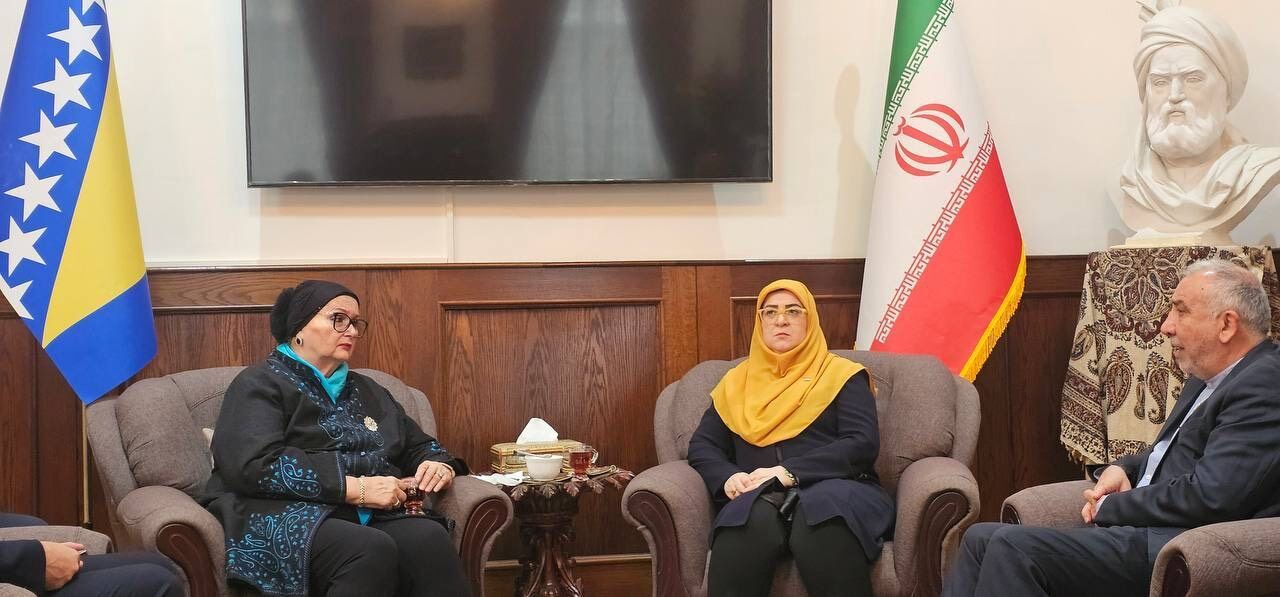 دیدار سخنگوی دولت با وزیر خارجه پیشین بوسنی