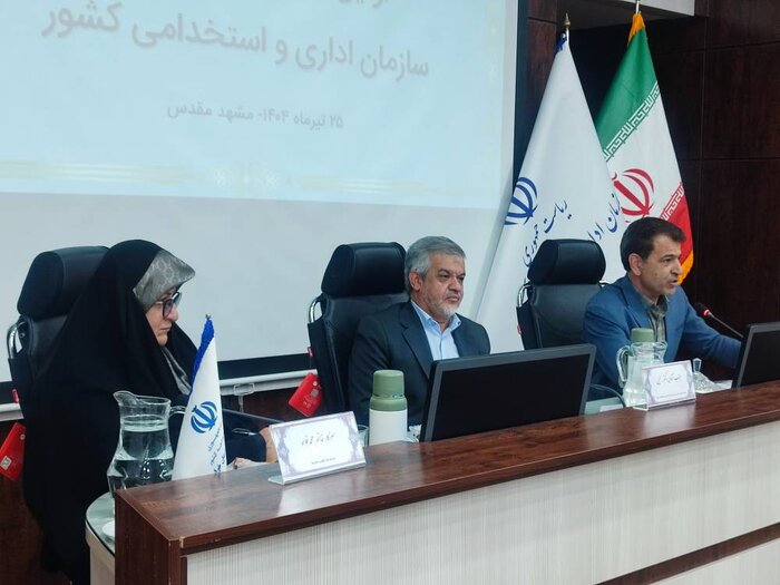 معاون سازمان استخدامی: ساماندهی کارکنان شرکتی در اطلاعرسانی دچار سردرگمی شد