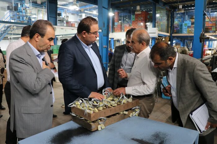 معاون وزیر صمت:بهبود فضای کسب و کار برای رونق تولید داخلی از اولویت‌های وزارت صنعت است
