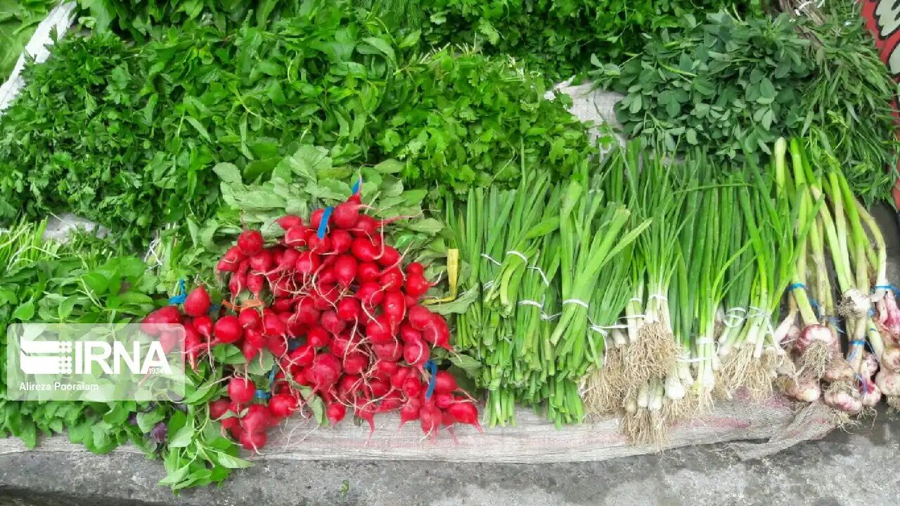 کشت سبزی و صیفی تازه‌خوری در تهران با فاضلاب ممنوع است