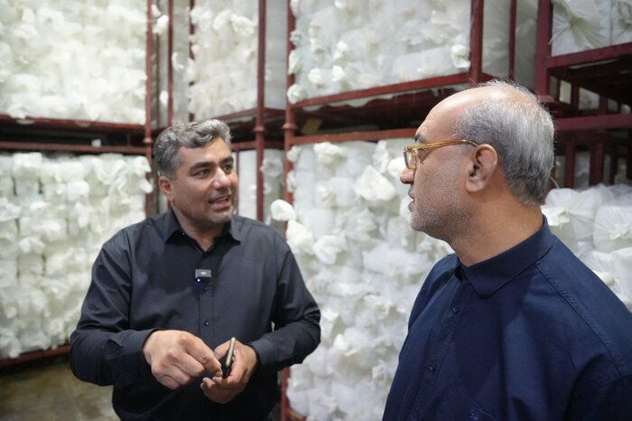 ساماندهی و تقویت زیرساخت های کرمانشاه تا مرز خسروی برای تردد زائران اربعین