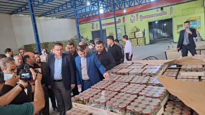 صنعتگران کبودرآهنگی مسایل و مشکلات خود را با معاون وزیر صنعت درمیان گذاشتند
