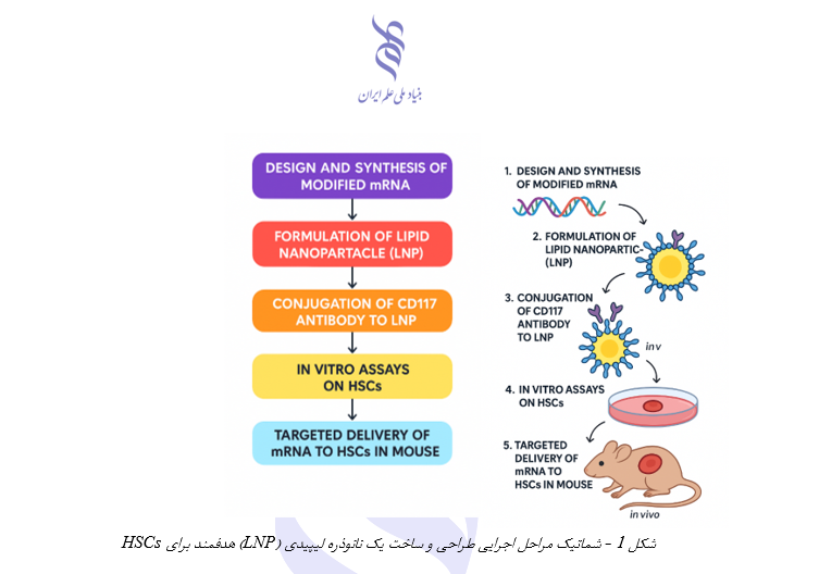 فراخوان طراحی و سنتز MRNA اصلاح‌شده؛ پیوند سلول‌های بنیادی خون‌ساز با هدف درمان تالاسمی