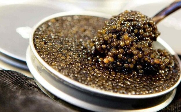 رونق صادرات خاویار از مازندران؛ ۲۸۸ کیلوگرم طی سه ماه