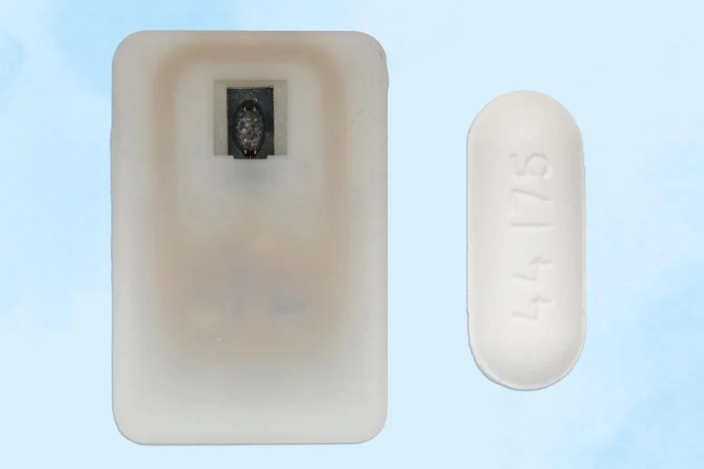 ساخت دستگاه کاشتنی برای محافظت مبتلایان به دیابت