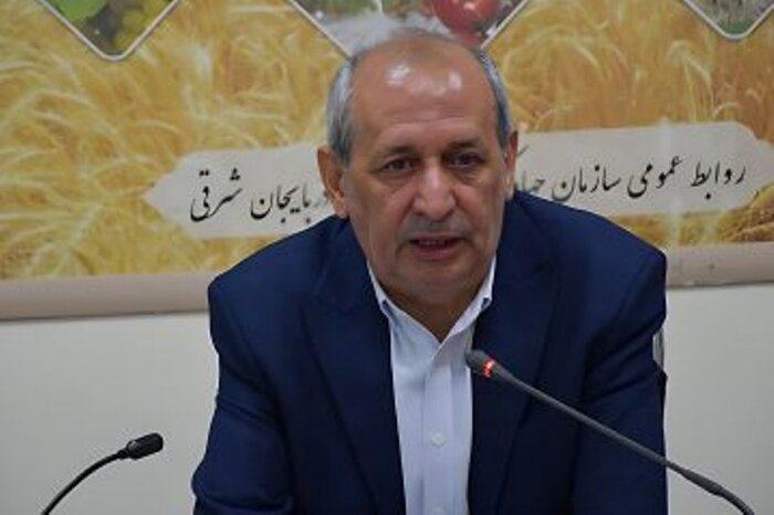 اهر مستعد سرمایهگذاری در بخش بسته بندی میوه خشک است