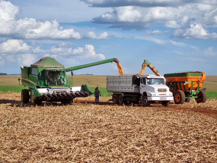 از آووکادو تا ذرت مکزیکی؛ کشاورزان آمریکای لاتین بدون کود روسیه فلج میشوند