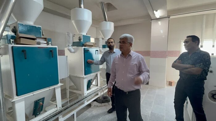 معاون استاندار: کارخانههای آرد؛ موتور محرک اشتغال گلستان هستند