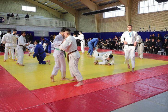 رییس فدراسیون جودو: خانه جودو در استانهای کشور راهاندازی میشود