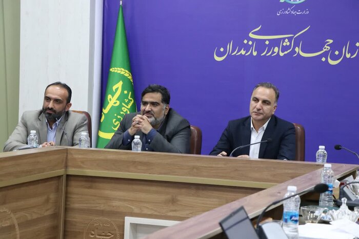 معاون وزیر جهاد کشاورزی: شالیکاران نگران قیمت برنج در بازار نباشند