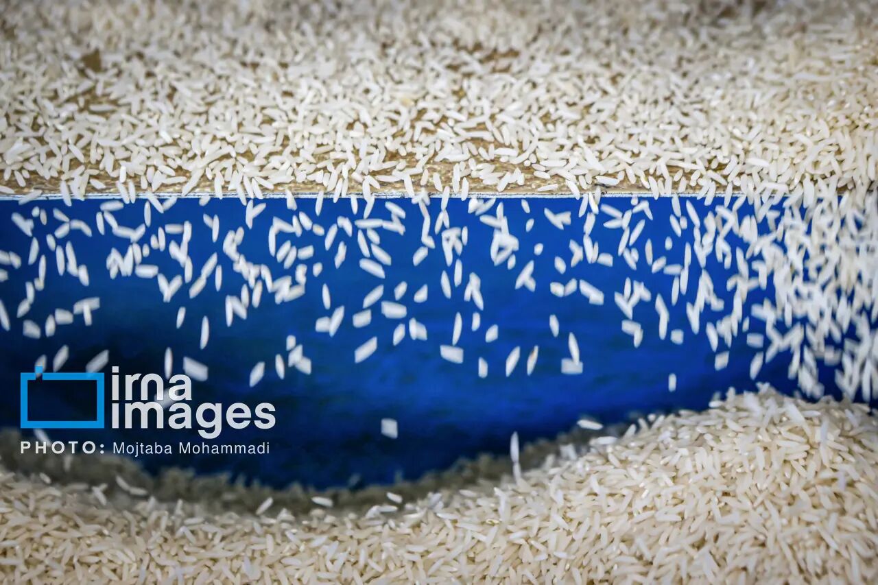 کاهش قیمت عمده فروشی برنج مازندران و کم رونقی بازار