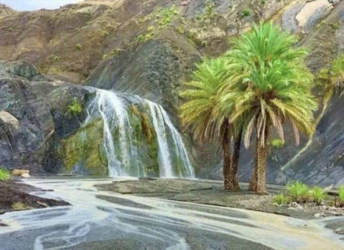 مدیرکل منابع طبیعی هرمزگان: خسارات ناشی از سیل ۳۳ درصد کاهش یافته است