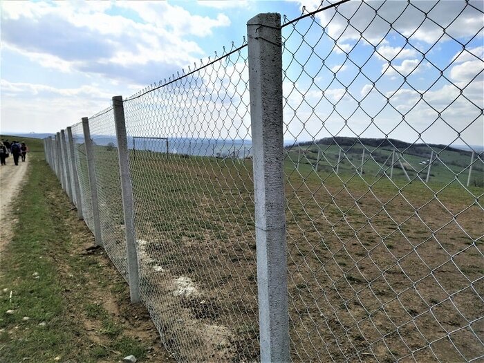 تأکید فرمانده یگان حفاظت محیط زیست بر افزایش ایمنی جادهها برای حفظ حیاتوحش