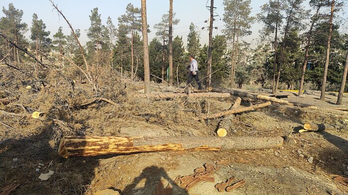 تنش آبی چگونه نفس پایتخت را می گیرد؟/ قطع ۲۰ هزار اصله درخت در چیتگر و سرخه حصار