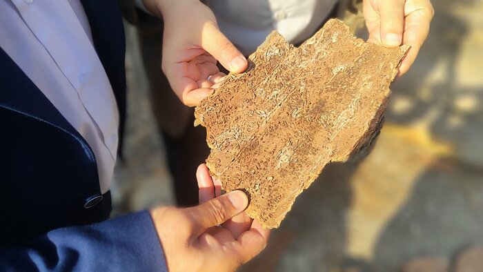 تنش آبی چگونه نفس پایتخت را می گیرد؟/ قطع ۲۰ هزار اصله درخت در چیتگر و سرخه حصار