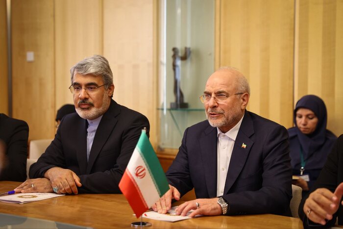 روسای مجالس ایران و تاجیکستان در ژنو دیدار کردند