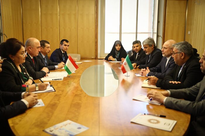 روسای مجالس ایران و تاجیکستان در ژنو دیدار کردند