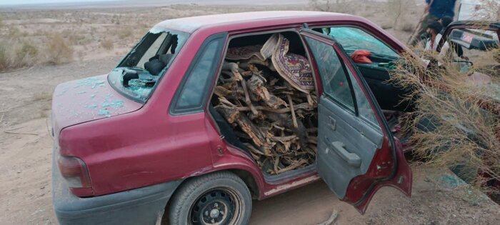 فرمانده یگان حفاظت منابع طبیعی اشتهارد در مقابله با قاچاقچیان چوب مجروح شد