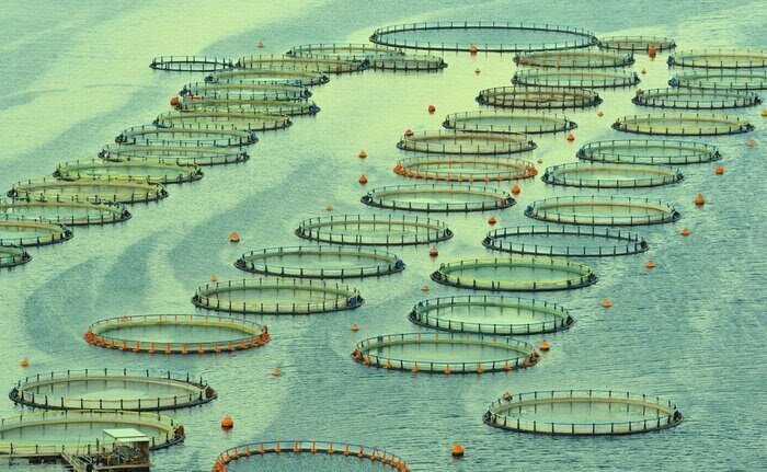 مدیریت بندر صیادی بابلسر به کیلکاگیران واگذار شد