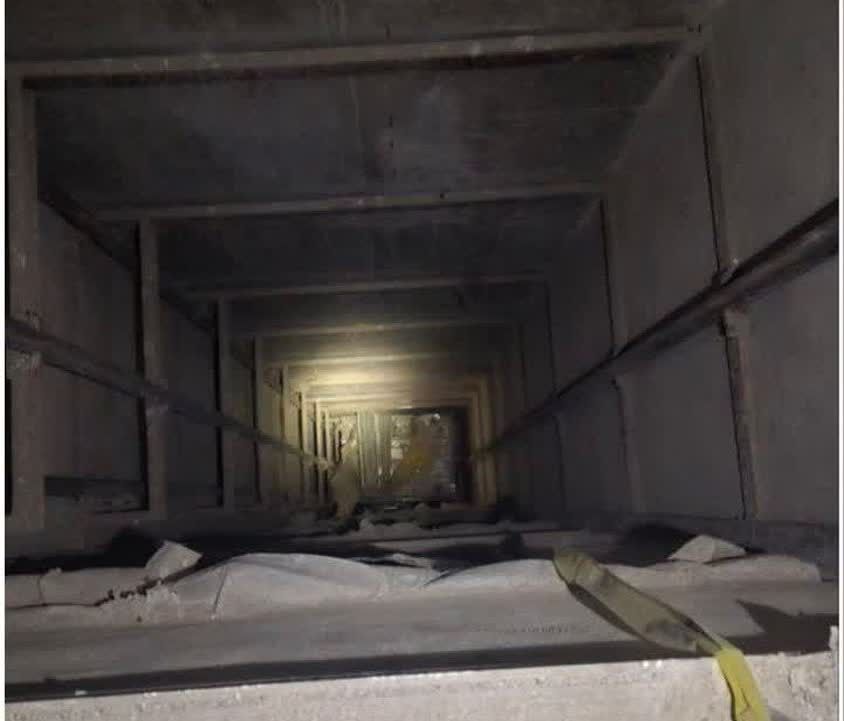 چاله آسانسورها؛ زیستگاه جدید و پنهان پشه آئدس در کنگان چاله آسانسورها؛ زیستگاه جدید و پنهان پشه آئدس در کنگان