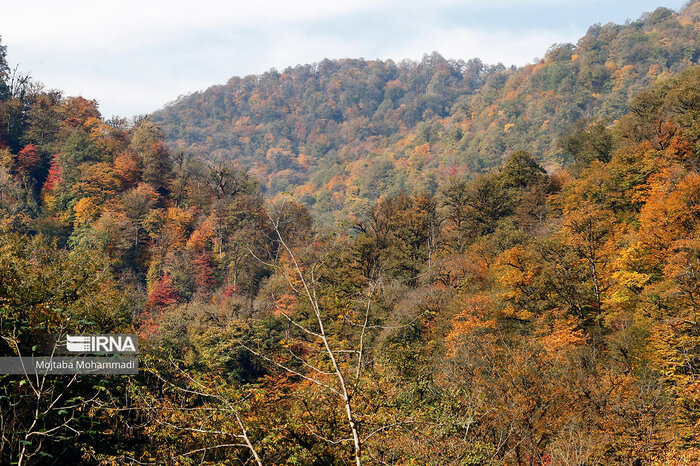 میراثی که ما نابودش کردیم!