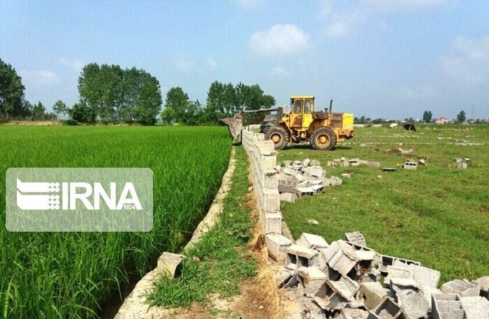 شناسایی ۶۳ مورد تغییر کاربری غیرمجاز کشاورزی در قائمشهر