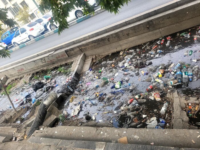 زبالهها؛ میهمان همیشگی مخازن در پایتخت؟