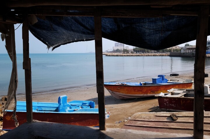 آبزی پروران بوشهری؛ پیشرو در توسعه اقتصاد دریا محور