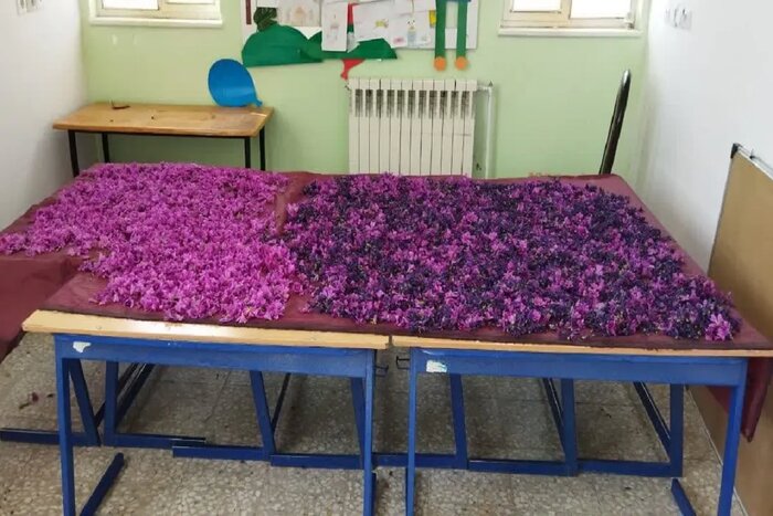 باغچهای سبز از سنگلاخ سخت + فیلم