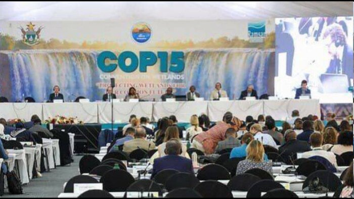 ایران به عضویت کمیته ارزیابی شهرهای تالابی جهان درآمد