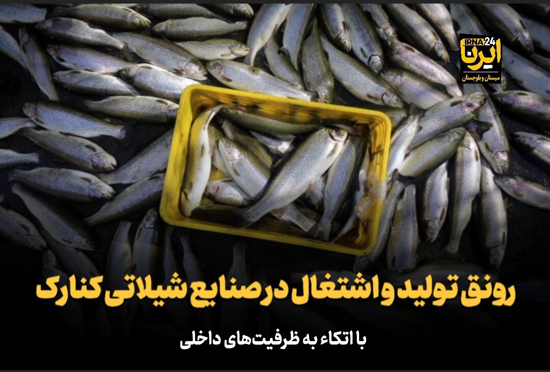 فیلم| رونق تولید و اشتغال در صنایع شیلات شهرستان کنارک