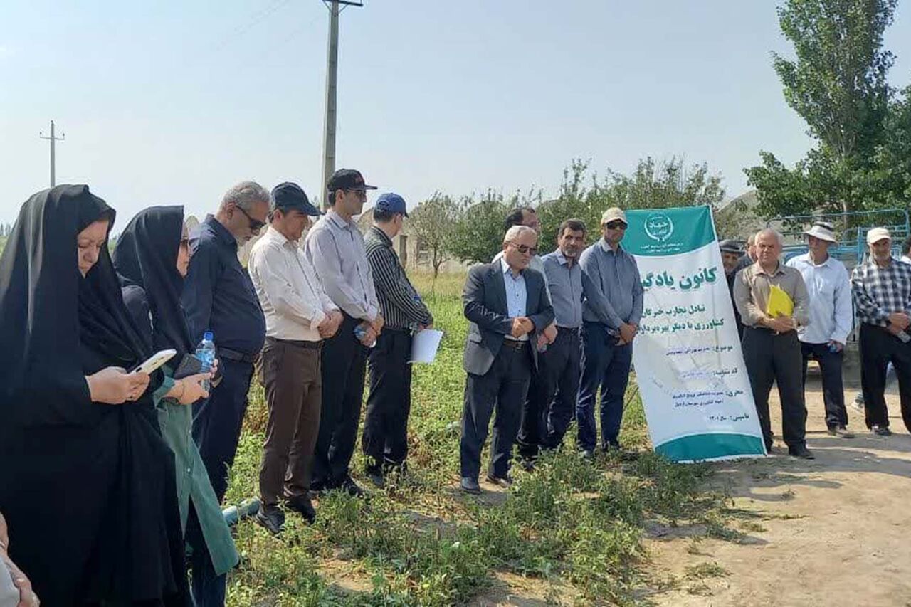 بهرهوری آب و کشاورزی قراردادی، دو اولویت وزارت جهاد کشاورزی است