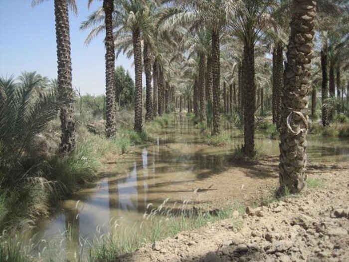 گذار از کشاورزی سنتی با مدیریت هوشمند آب