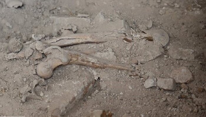 ابزارهای سنگی ۵۰۰هزارساله در خراسان کشف شد/ گشودن گنجینه ۷۰۰ ساله یزد به روی مردم