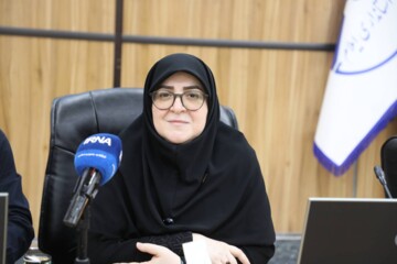 سخنگوی دولت: اقتصاد مرزها تضمین‌کننده امنیت پایدار کشور است