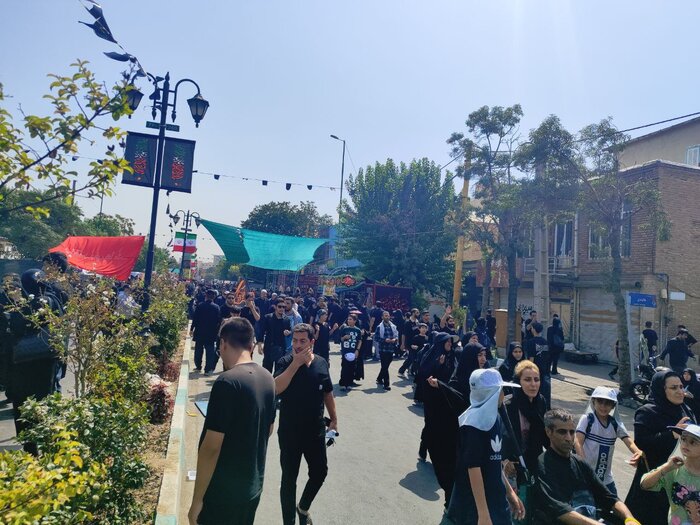 همراهی دل‌ها با کاروان اربعین؛ جاماندگان مسیر عشق را تا حرم حضرت عبدالعظیم طی کردند