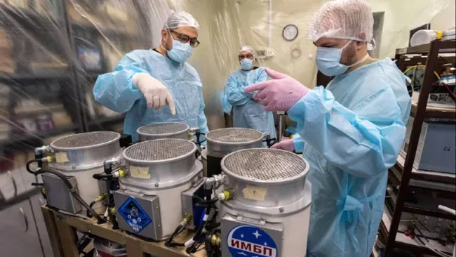 روسیه کشتی نوح را با ۷۵ موش به فضا میفرستد