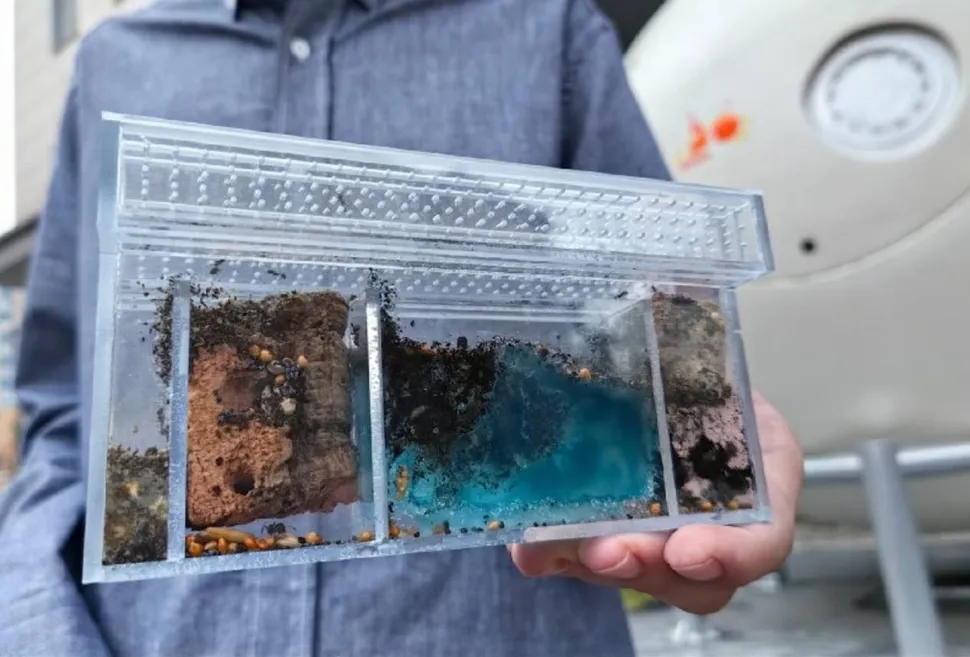 روسیه کشتی نوح را با ۷۵ موش به فضا میفرستد