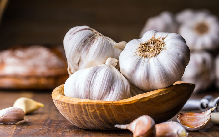 فشار خون خود را با این گیاهان دارویی کنترل کنید